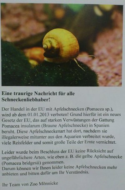 Schnecken.1jpg
